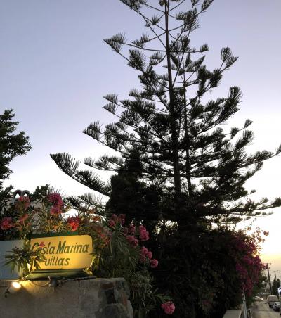 フレンドリーなおもてなし