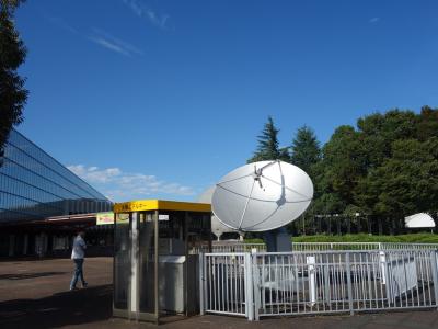 家族で楽しめる