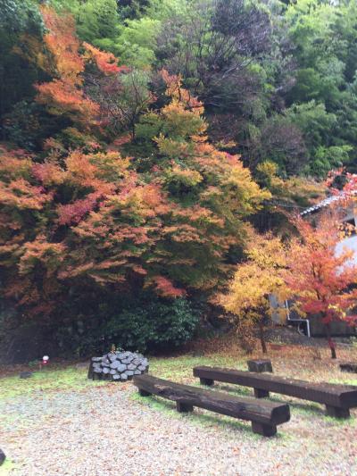 蟹たっぷりで満足しました！