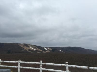 夕暮れ時の美しさ