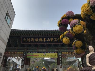 花に囲まれた寺