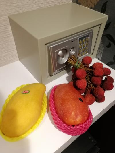 セキュリティーBOXの下には冷蔵庫がありました