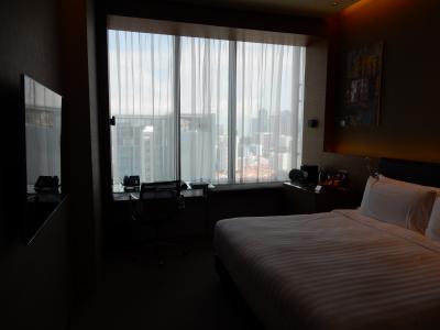 客室（暗いのは写真の関係）