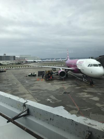 羽田発が魅力のピーチ