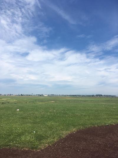飛行機が頭上を飛んでいきます