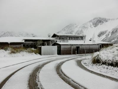 夜、雪が降りました