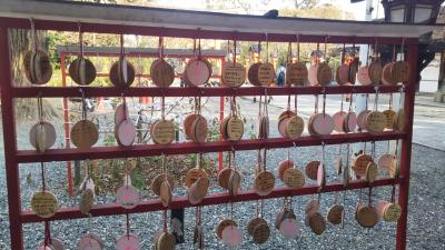 キンプリ好きな娘