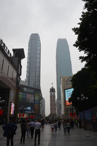 無理に行く必要はないかと