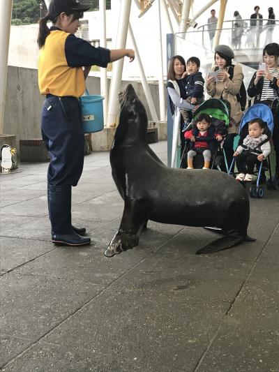 大好きな水族館