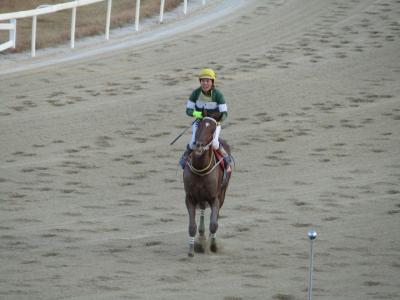 大統領杯（GⅠ）を見に行ってきました。