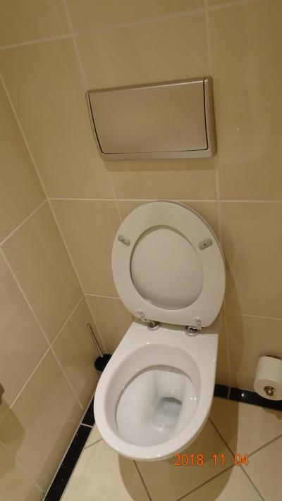 トイレは普通。この対面にビデもあり。