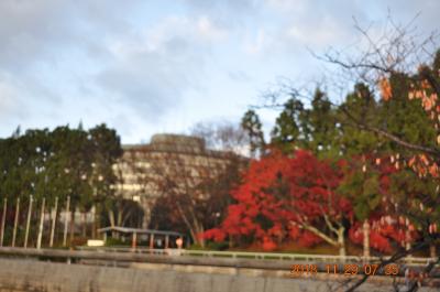 ホテルの中の紅葉も綺麗にライトアップ