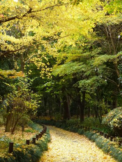 東京の紅葉スポット