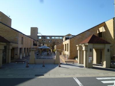 SUNPLAZA SEASONS（サンプラザ　シーズンズ）