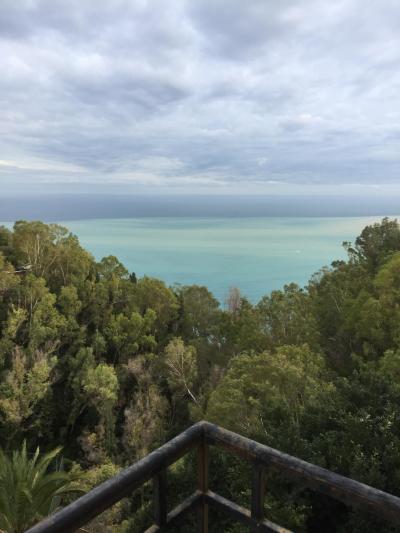 テラスからの風景