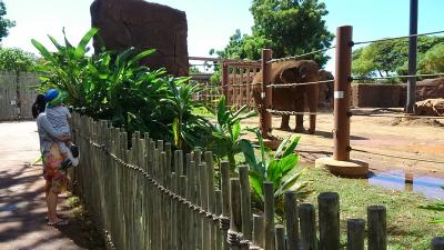 ワイキキの東端にある動物園です