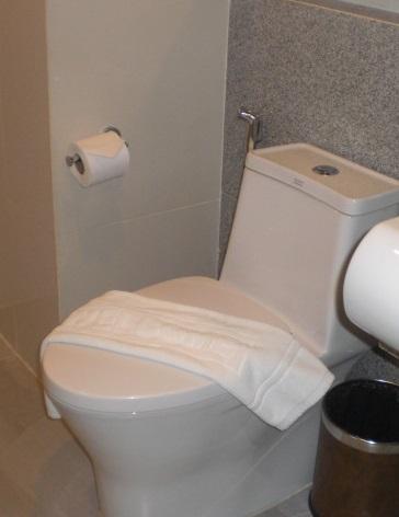 トイレです。清潔感のある感じで、心の底から、安心できます。