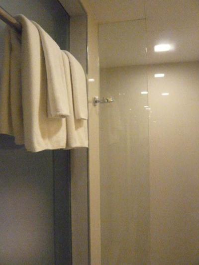 シャワー区画です。湯温が低いのでやや不満な感じですが。