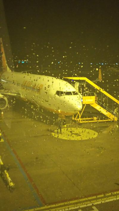 生憎の雨でしたが、飛行機近い！