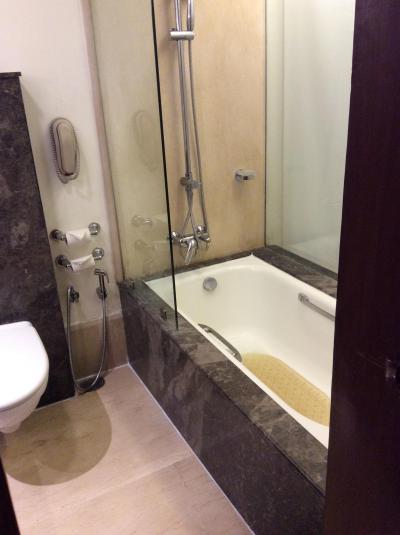 バスタブ等は大き目でもタオルが問題です