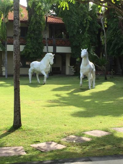 キレイで広い部屋
