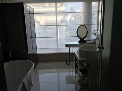 バスルーム、トイレか窓際にあるつくり