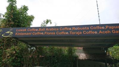 SEGARA WINDHU COFFEE PLANTATION BALI