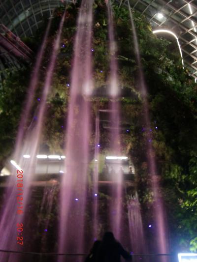 スリル満点アドベンチャー