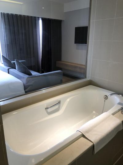 大きい西洋式バスタブ