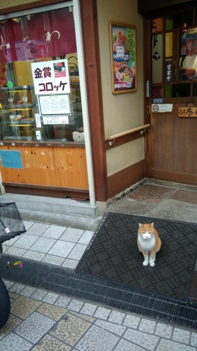 愛媛の有名お菓子屋さんがあります