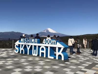 大吊橋から眺める富士山は絶景です。