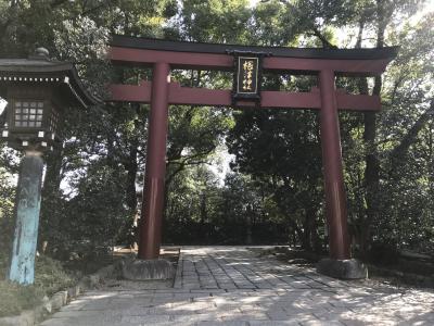 御朱印をもらいに 東京十社の根津神社へ