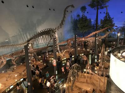 恐竜について学べる施設