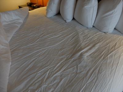 ベッドのシーツがこんなにしわくちゃだったのは初めて！