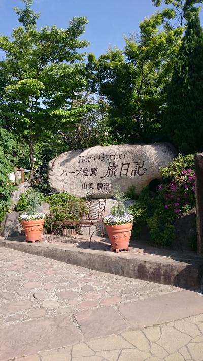穴場の庭園