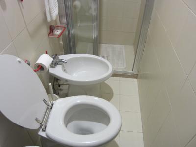 狭い。シャワーのみ