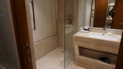 シャワーは問題ありん