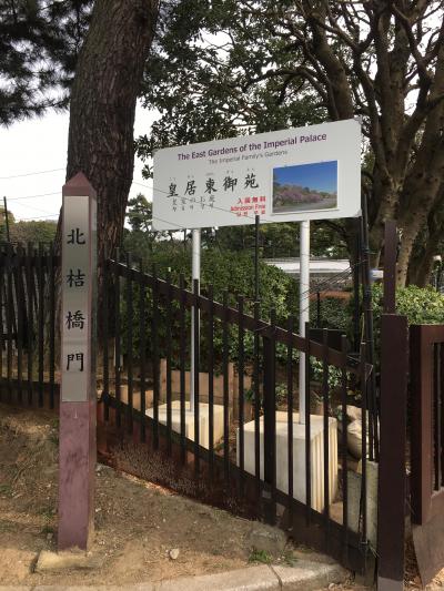 北の丸公園から入場