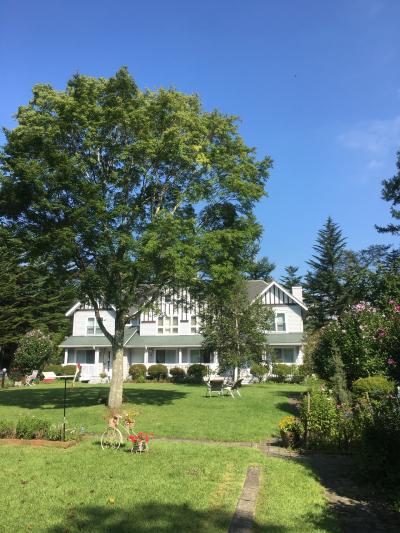 静かで落ち着く