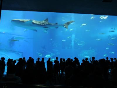 美ら海水族館