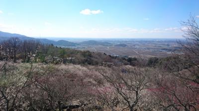 上るのは大変ですが絶景です