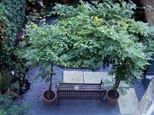 小さなお庭があります。喫煙スポットにもなっているようです。