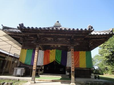 見事に龍が！！