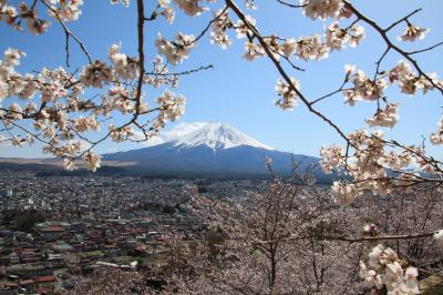 絶景キター.ﾟ+.(・∀・)ﾟ+.ﾟ