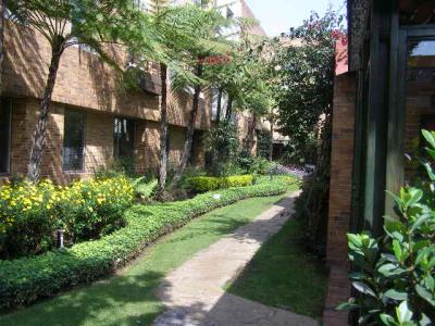 中庭には池があり鯉が泳いでました