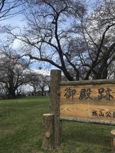 開花直後の桜まつり