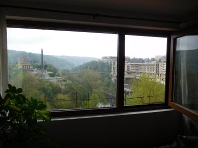 部屋に、この窓が二つあり