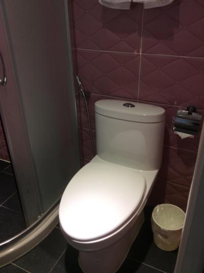 ホースだけど手動ウォシュレット