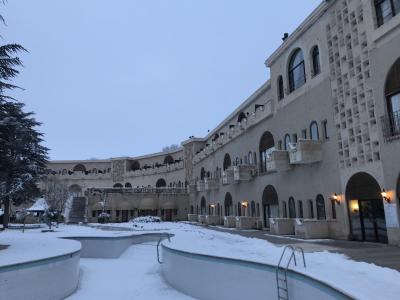  ホテルの裏側が山側の庭園