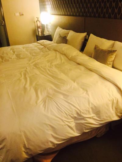 アクセスが良いので、泊まるだけなら全く問題ないです